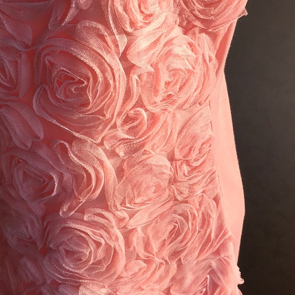 Rose Pink Roses.                            NWOT - Picture 2 of 5